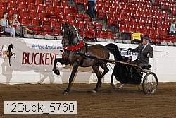 12buck_5760 proof