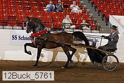 12buck_5761 proof