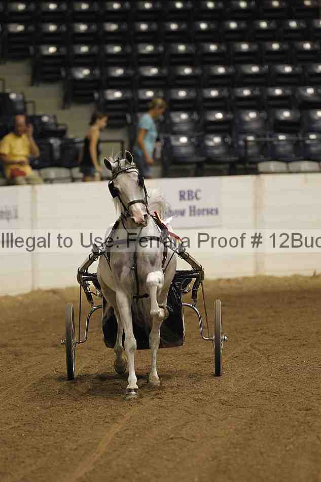 Proof 12buck_5762