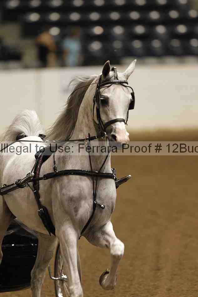 Proof 12buck_5764