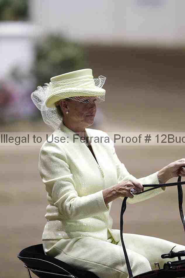 Proof 12buck_5767