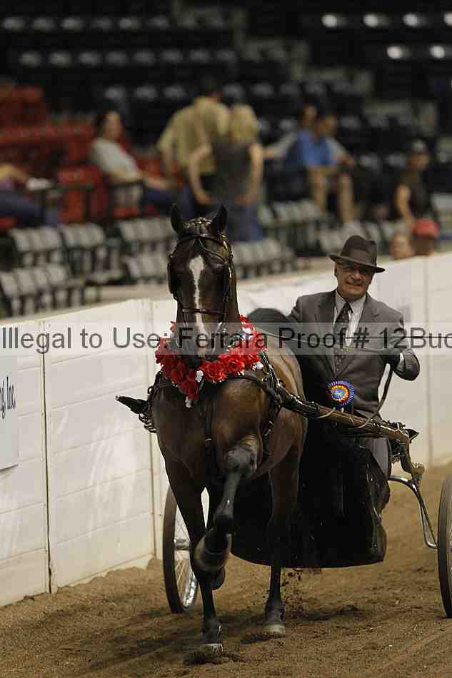 Proof 12buck_5768