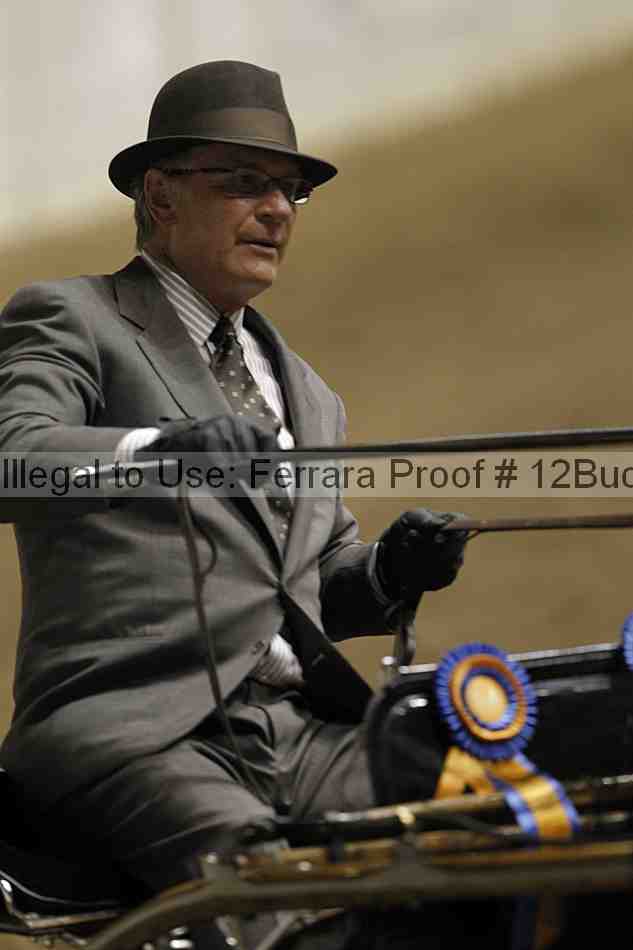 Proof 12buck_5770