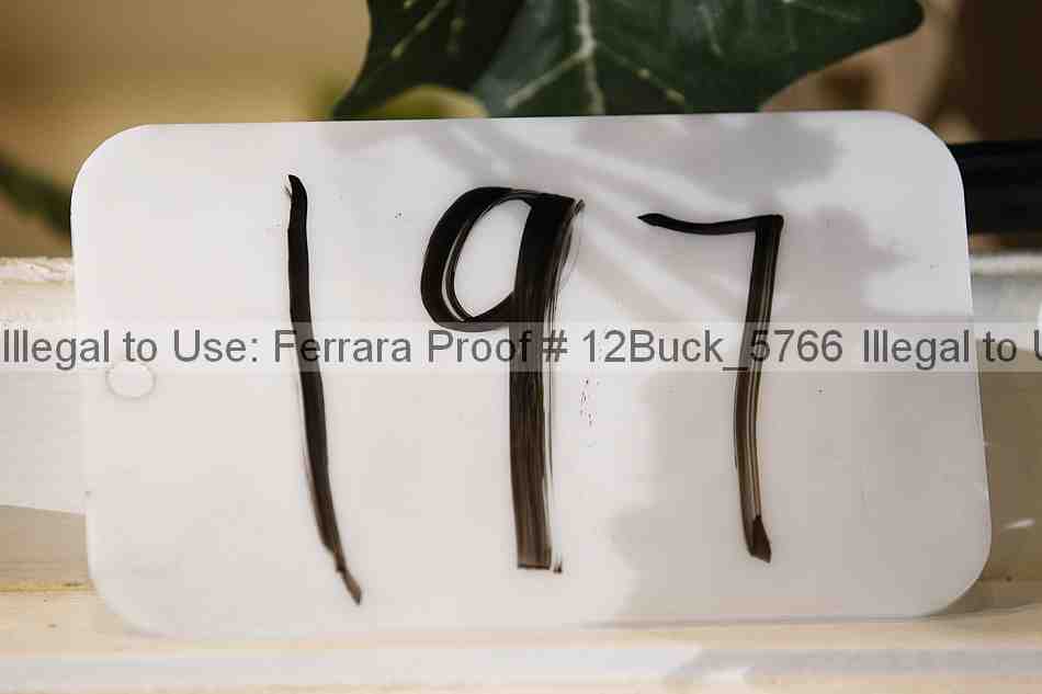 Proof 12buck_5766