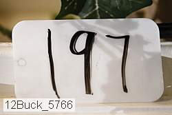 12buck_5766 proof