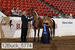 12buck_5774 proof