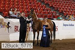 12buck_5775 proof