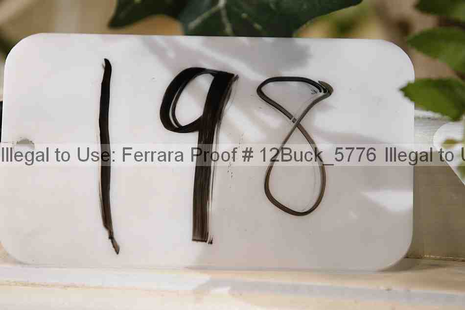 Proof 12buck_5776