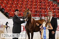 12buck_5781 proof