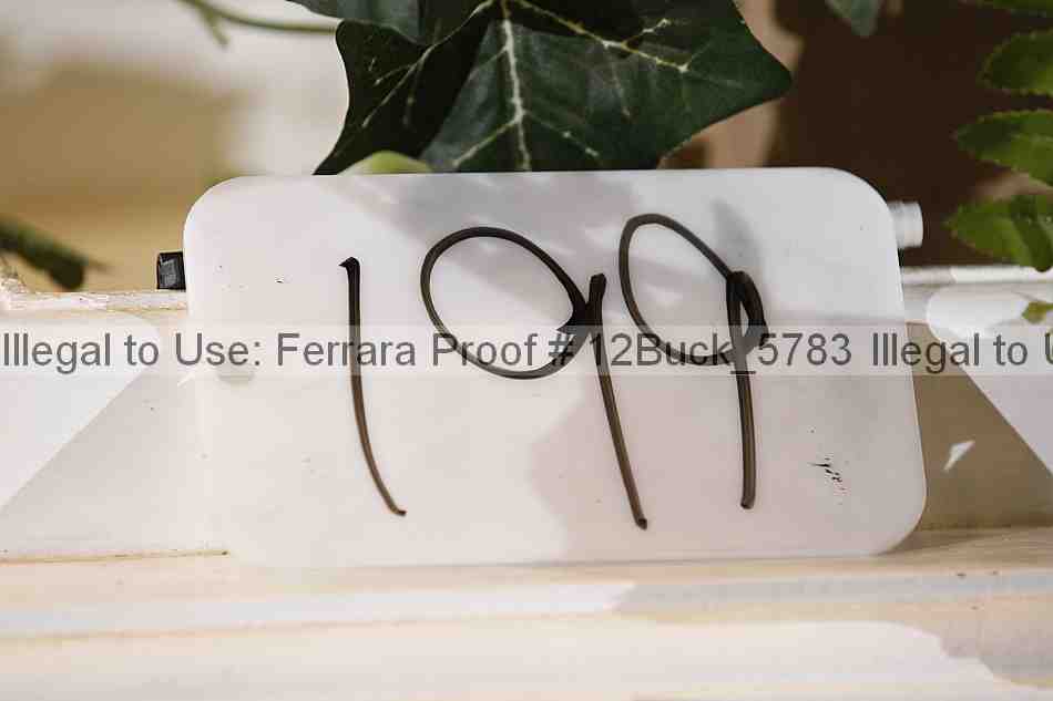 Proof 12buck_5783