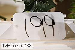 12buck_5783 proof