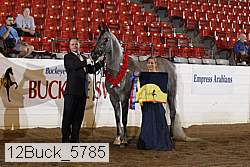 12buck_5785 proof