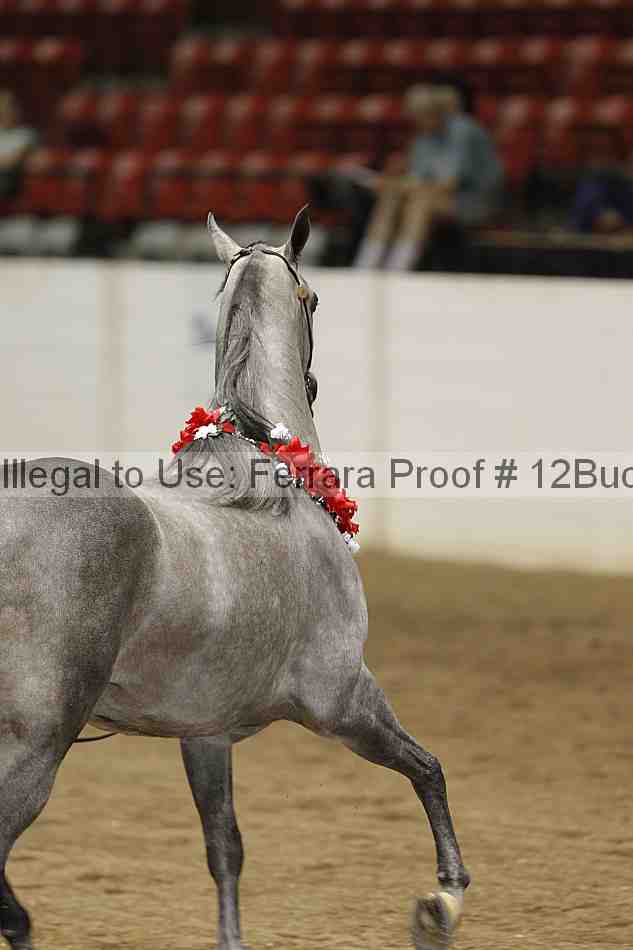 Proof 12buck_5787