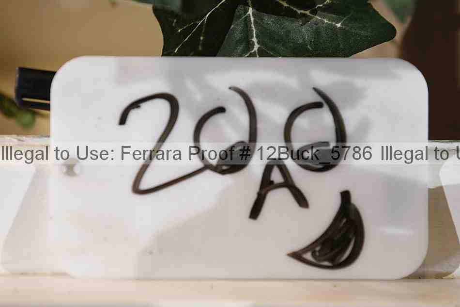 Proof 12buck_5786
