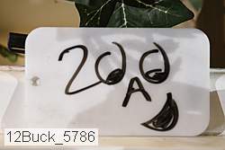 12buck_5786 proof
