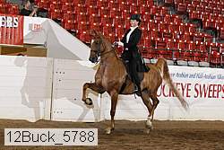 12buck_5788 proof