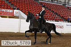 12buck_5789 proof