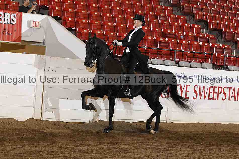 Proof 12buck_5795