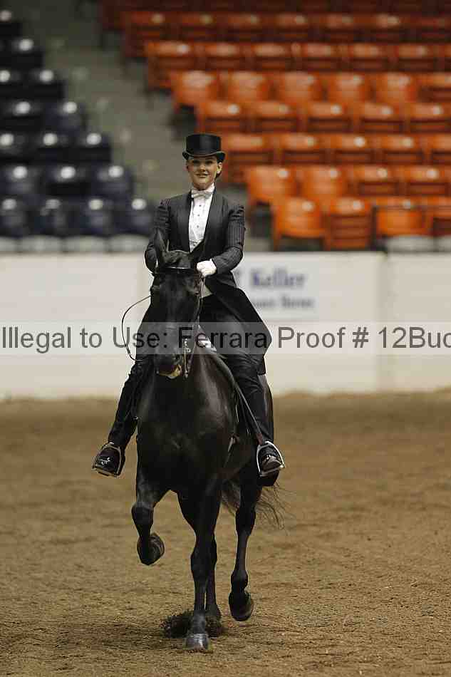 Proof 12buck_5796