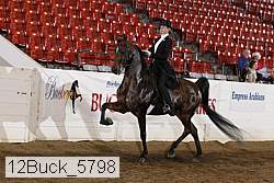 12buck_5798 proof