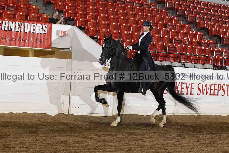 Proof 12buck_5802