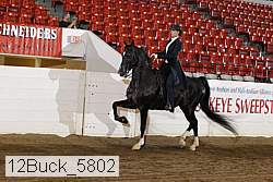 12buck_5802 proof