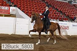 12buck_5803 proof