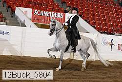 12buck_5804 proof