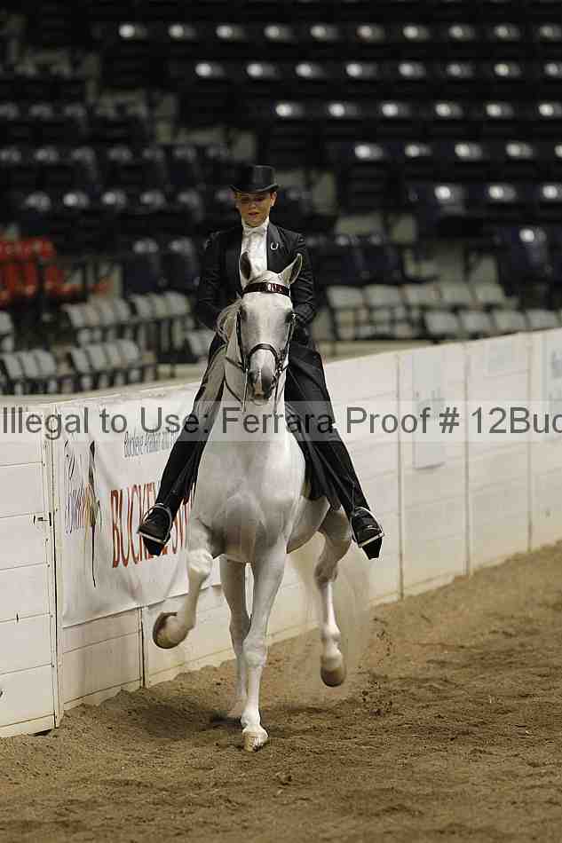Proof 12buck_5805