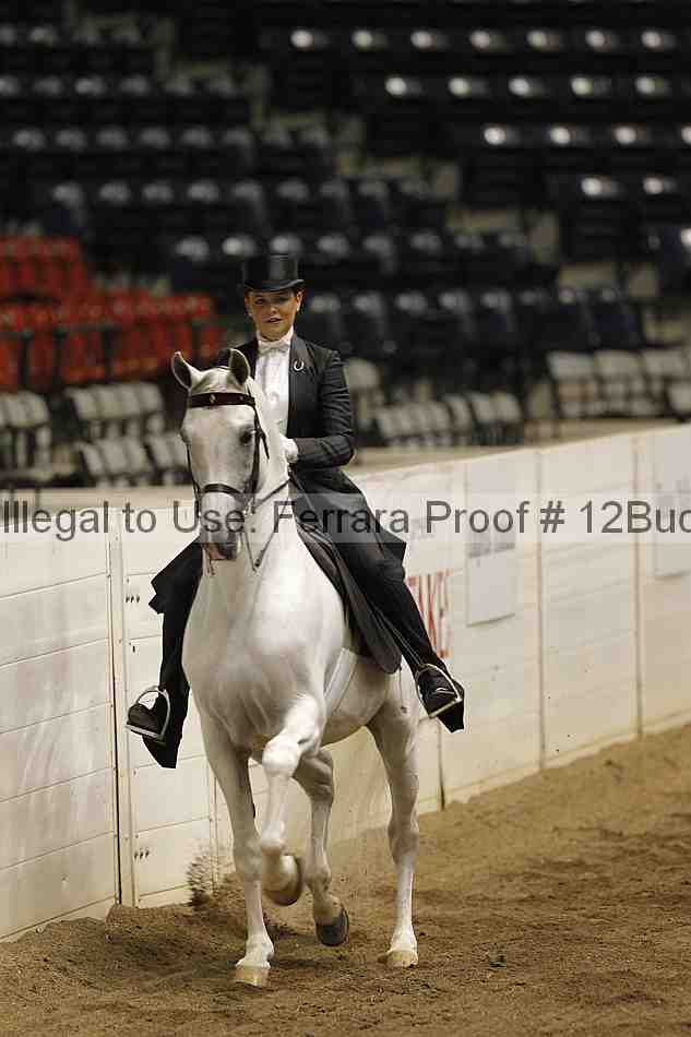 Proof 12buck_5806