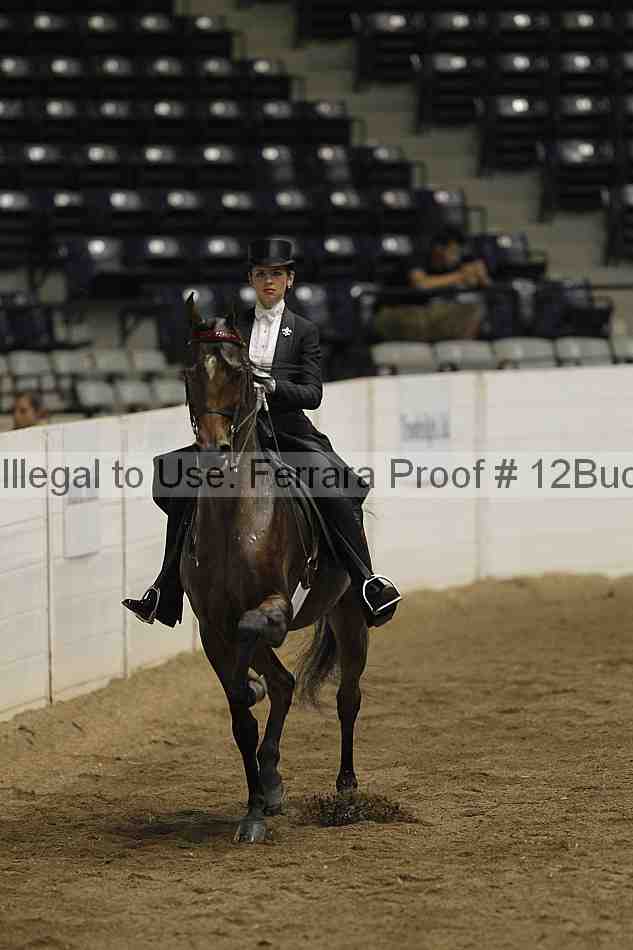Proof 12buck_5809
