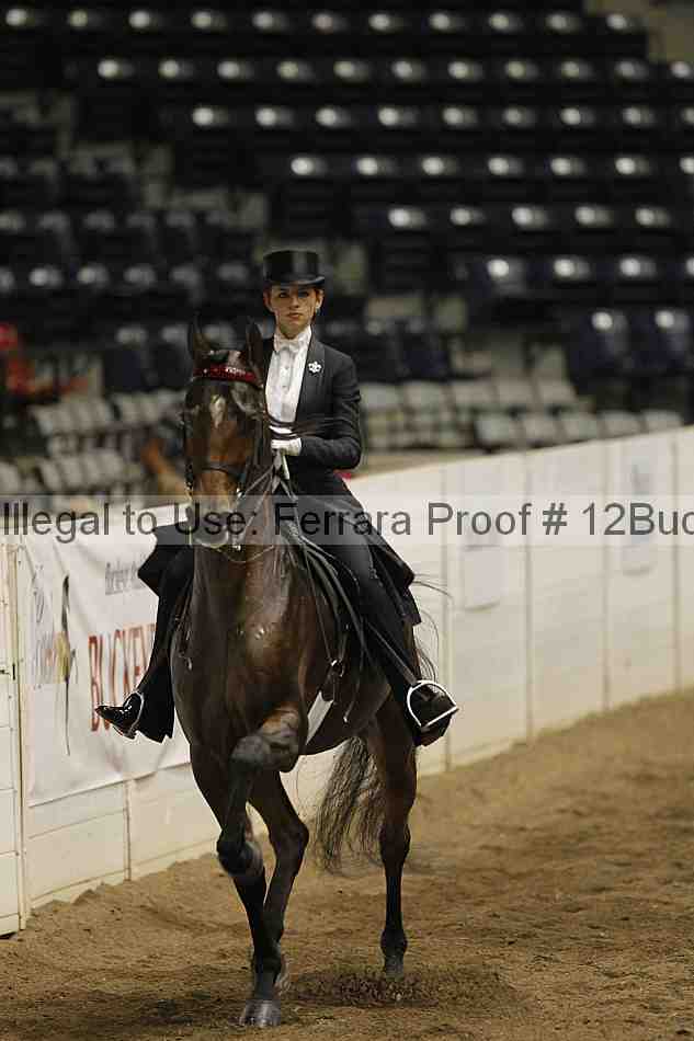 Proof 12buck_5810