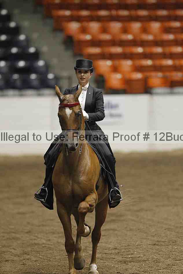 Proof 12buck_5811