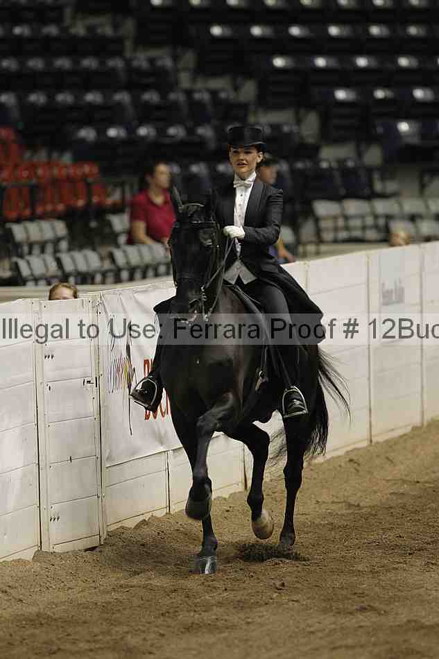 Proof 12buck_5816
