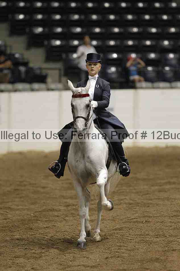 Proof 12buck_5819