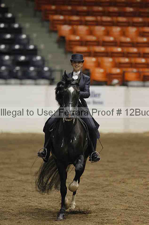 Proof 12buck_5822