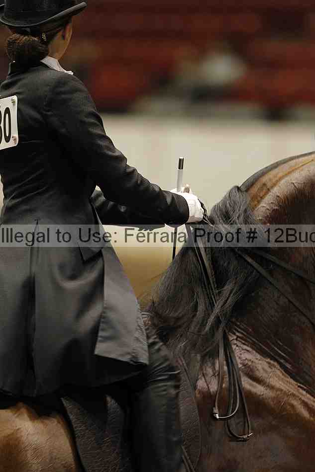 Proof 12buck_5824