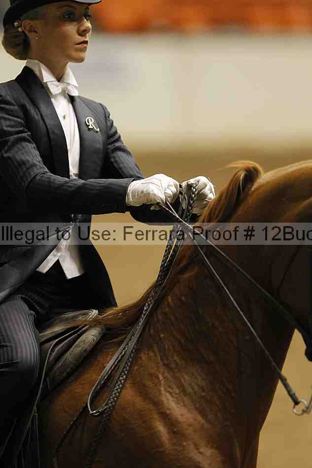 Proof 12buck_5826