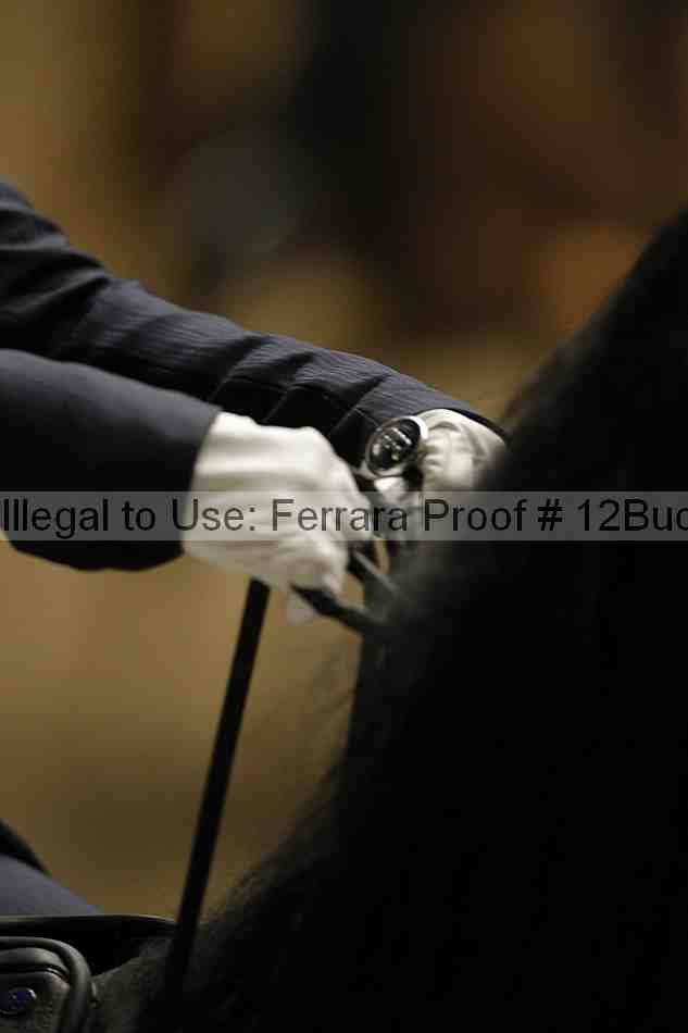 Proof 12buck_5828