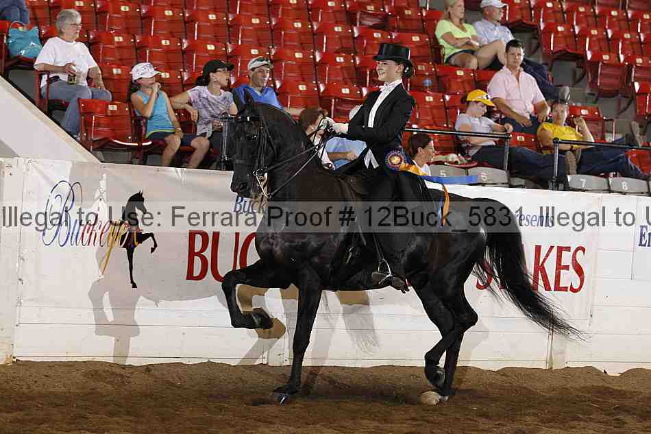 Proof 12buck_5831