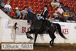 12buck_5831 proof