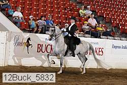 12buck_5832 proof