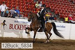 12buck_5834 proof