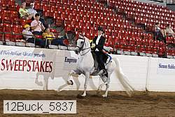 12buck_5837 proof