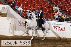 12buck_5838 proof
