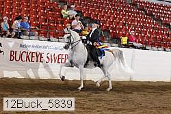 12buck_5839 proof