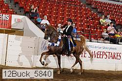 12buck_5840 proof