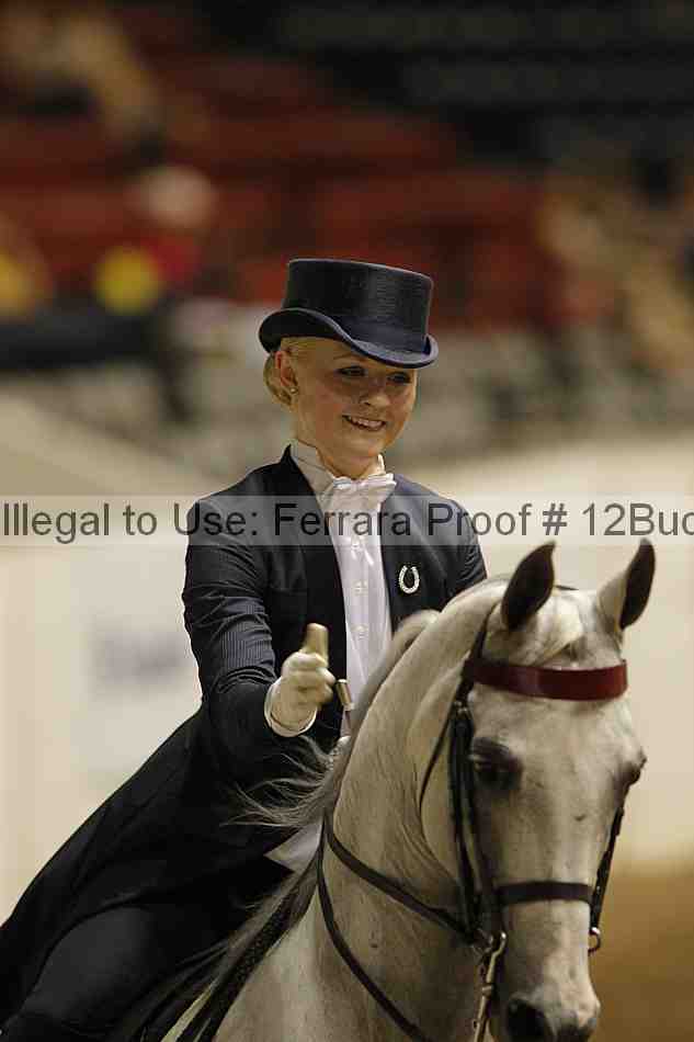Proof 12buck_5897