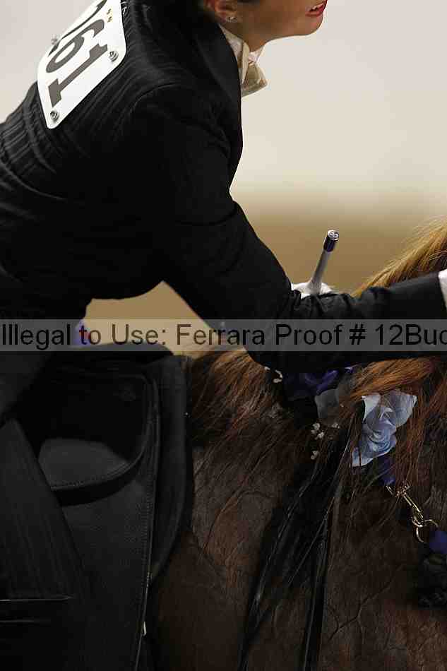 Proof 12buck_5904
