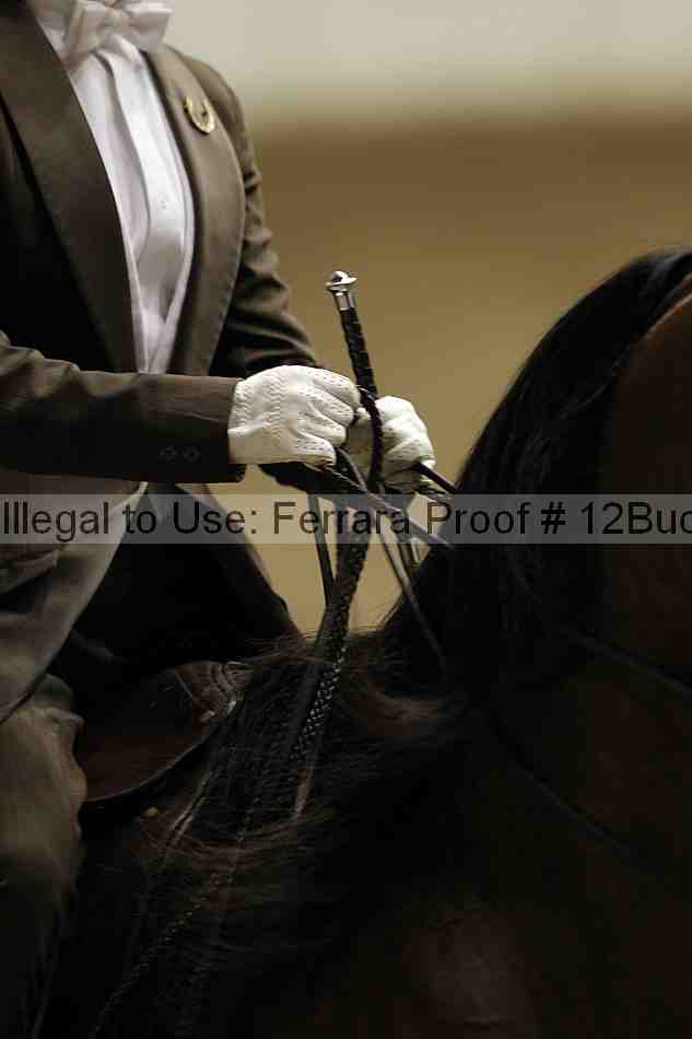Proof 12buck_5976